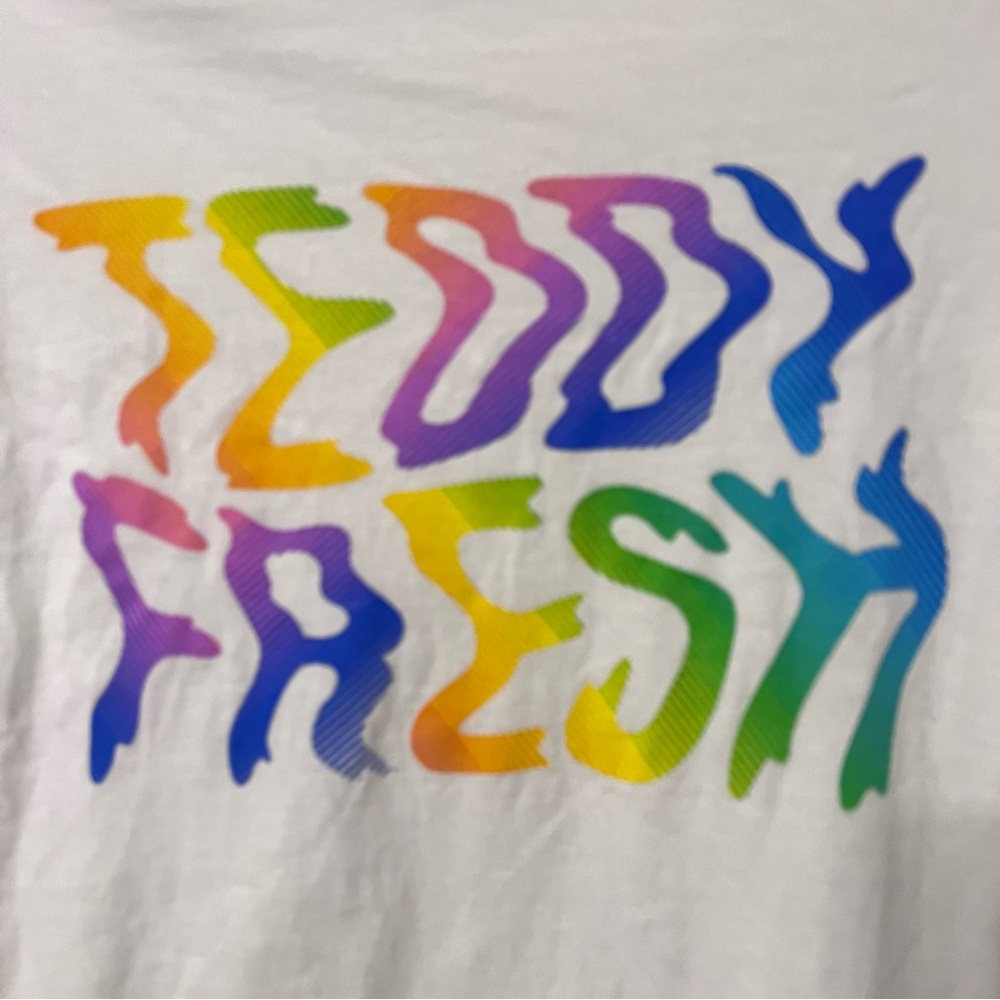 Teddy Fresh Long Sleeve Spellout Logo T Shirt White Rainbow Size medium - Picture 6 of 10